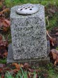 image of grave number 954528